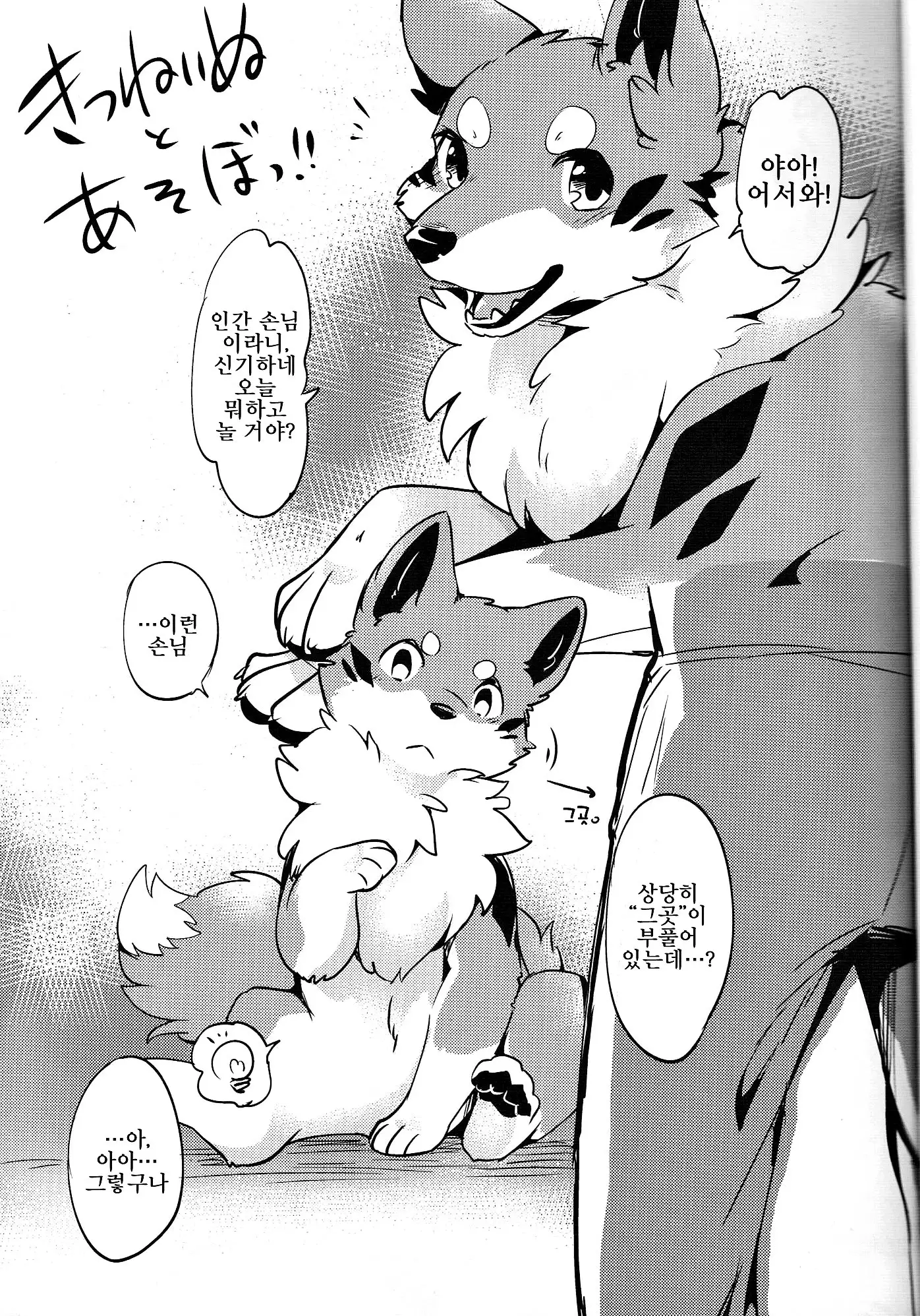 Kitsuneinu to Asobo!! | 여우개 랑 놀자앗!!