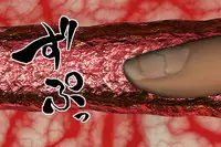 [000] Ankokushin Densetsu -Seitenkan Sareta Ikenie-