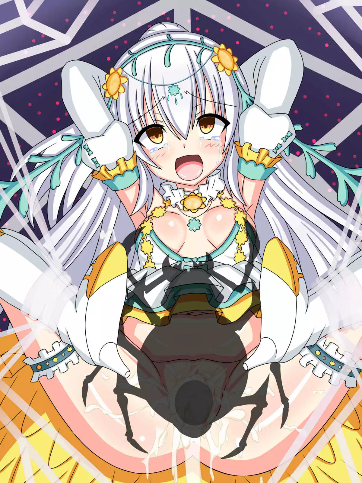 "Hanazono no Seiya" Shirotaegiku