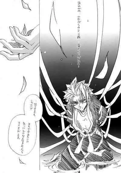 AISIRO Soushuuhen II