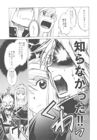 (COMIC1☆4) [Toko-ya (HEIZO, Kitoen)] ED×WIN 2 (Fullmetal Alchemist)