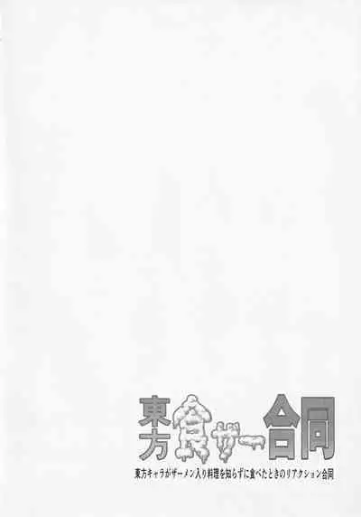 Touhou ShokuSe Goudou