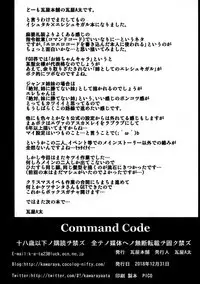 COMMAND CODE