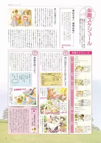 Canvas Visual Fan Book