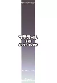 (C94) [Pazzo S.P. (Akikaze Shirakumo)] Petite Soeur 16 (Bokutachi wa Benkyou ga Dekinai)