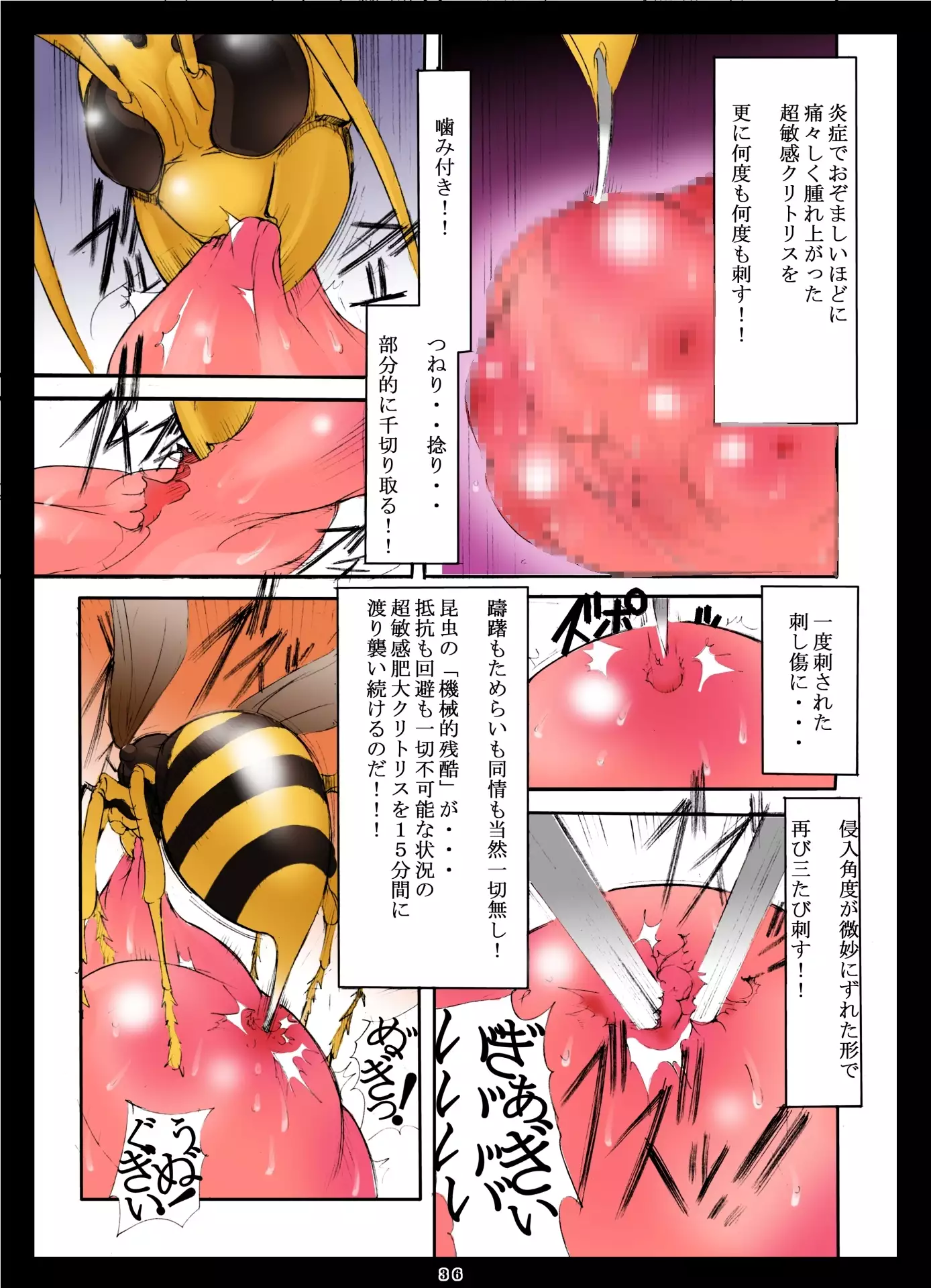 St.Margareta Gakuen Black File 1 + 2