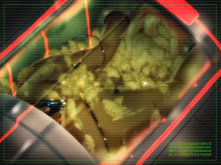 SHIRONEKO BAD END II