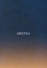 (C91) [ARESTICA (Ariko Youichi)] Chinju no Matsuri de Aimashou (Kantai Collection -KanColle-)