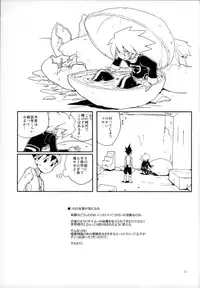 (C89) [Zenra Restaurant (Heriyama)] Warrock Report (Mega Man Star Force)