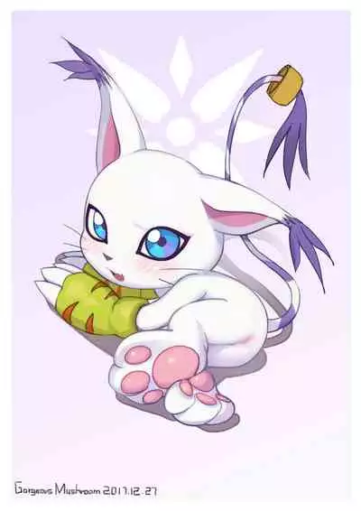 蘑菇的杂图集合