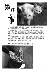 (C76) [RPG COMPANY 2 (Yoriu Mushi)] Bridge [Chinese] [Rivers 个人汉化]