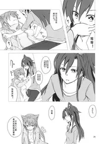 (C85) [HB (Futoo)] Wunsch (Senki Zesshou Symphogear) [Chinese] [假良假影个人汉化]