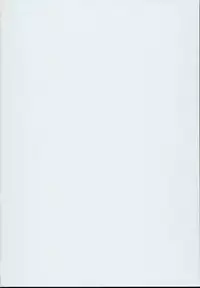 (C94) [In The Sky (Nakano Sora)] SISUANA - sister hole