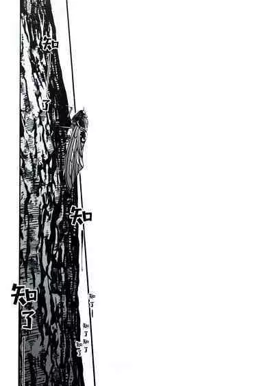 Ruru Toshite ｜娓娓道来