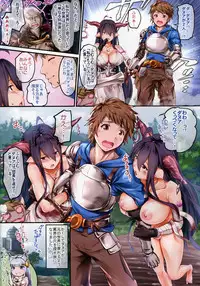 (C91) [Rukonosu (Ganari Ryu)] Nadee... (Granblue Fantasy)