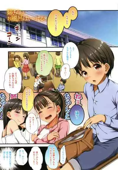 Onee-san wa Miinna Dosukebe!