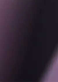 (SC35) [Otome Kibun (Sansyoku Amido.)] Nure Miko (Queen's Blade)