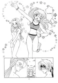 Tsuki no Hikari no Orgel