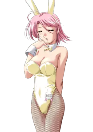 Do You Like Horny Bunnies? 2 (decensored)