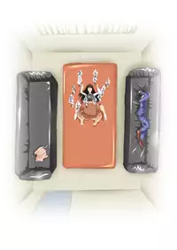 [N-Graphic] Hello My Second Love (Kindaichi Shounen no Jikenbo)