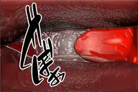 [000] Ankokushin Densetsu -Seitenkan Sareta Ikenie-