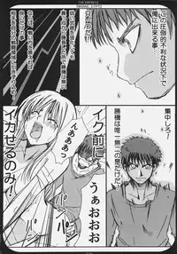 (C69) [TAROTS (Sawano Akira)] THE EMPRESS (Fate/hollow ataraxia)