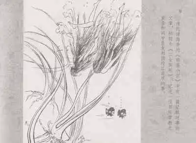 史上名妓 同命相怜-素素与秀玉（张子明 2013年10月）