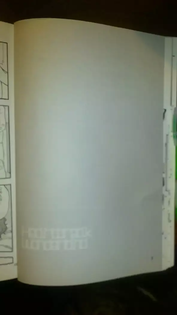 Heartbreak Wonderland