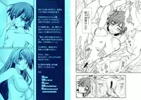 (COMIC1☆5) [Renai Mangaka (Naruse Hirofumi)] Suruga Monkeys (Bakemonogatari)