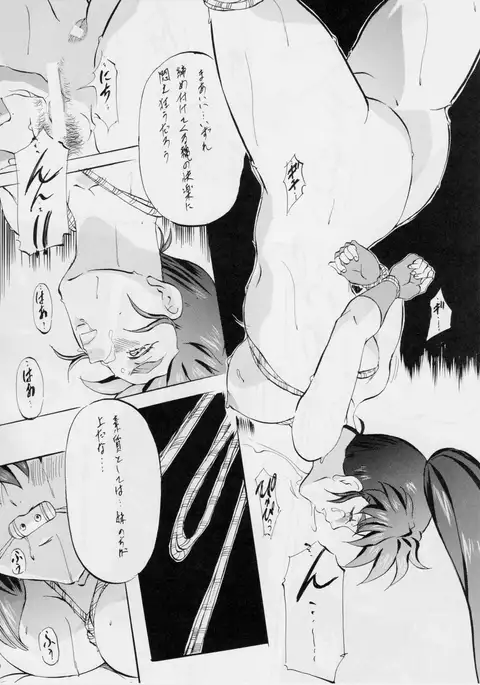 亜衣&麻衣 DSII ~華の章~