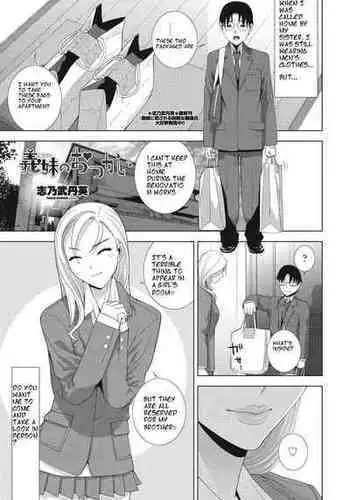 [Shinobu Tanei] Imouto no Otsukai (COMIC Momohime DEEPEST Vol. 003) [English] [ibndgfan] [Digital]