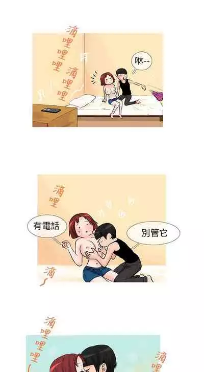 小野貓馴服手冊