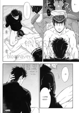 The Suite of Super Darling