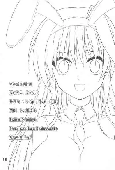 yagamidofukkokeikaku