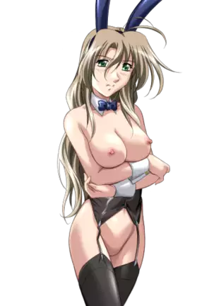 Do You Like Horny Bunnies? 2 (decensored)