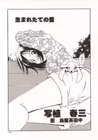 (C57) [GOLD RUSH (Suzuki Address)] ~wall~ (Excel Saga, Love Hina)