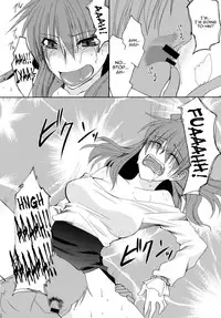 (C78) [Aoiro-Momoiro] Beloved Other (Touhou Project) [English]