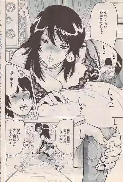 COMIC Penguin Celeb 2007-10 vol. 010