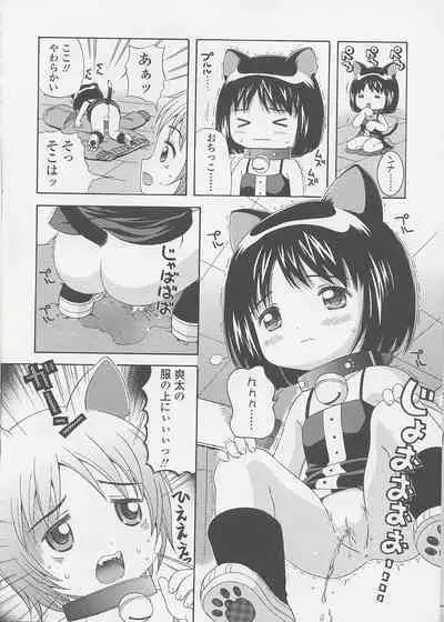 Miseijuku Shoujo Zukan