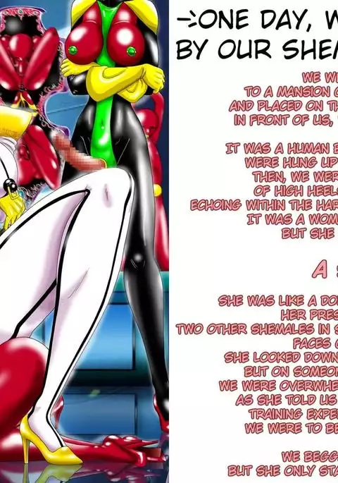 Kyoudai Choukyou Jikken-tai | Brother & Sister Training Experiment