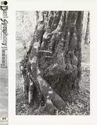 [Tajima Yasue] Dual Symphony