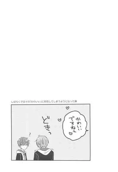 Kawaii Hito de Isasete