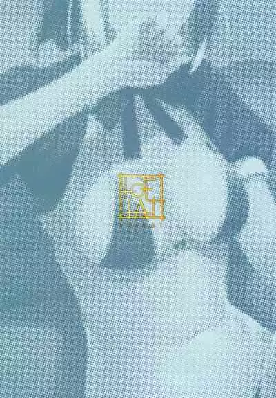 Chaldea Soap SSS-kyuu Gohoushi Maid