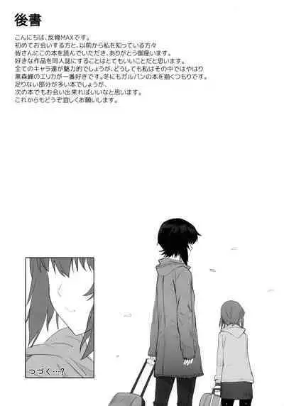 (C92) [SHIOHAMA (Hankotsu MAX)] ERIKA (Girls und Panzer) [English] [Onashi]