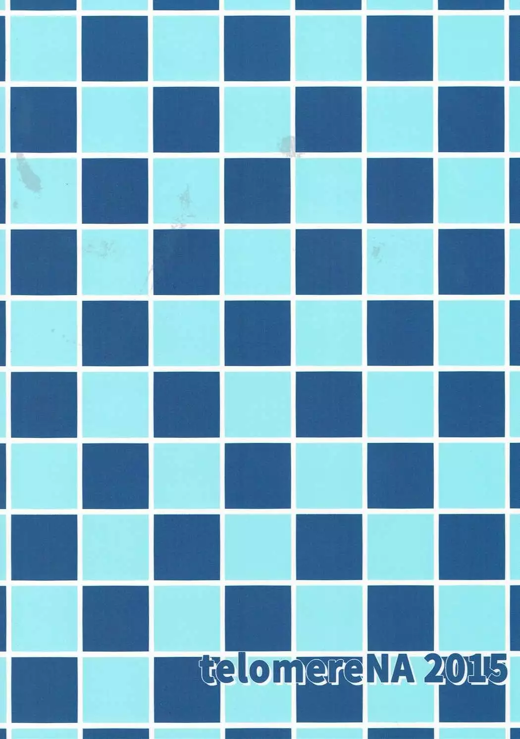 Ecchi na Usagi wa Suki desu ka?