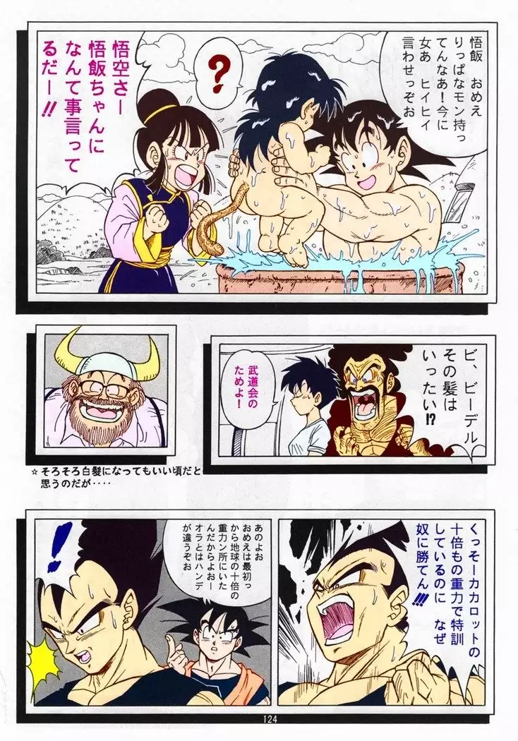 DRAGONBALL H Bessatsu Soushuuhen