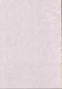 (C71) [GUST (Gust-san)] Iro-7 (Mahou Sensei Negima!) [English] [CGRascal]