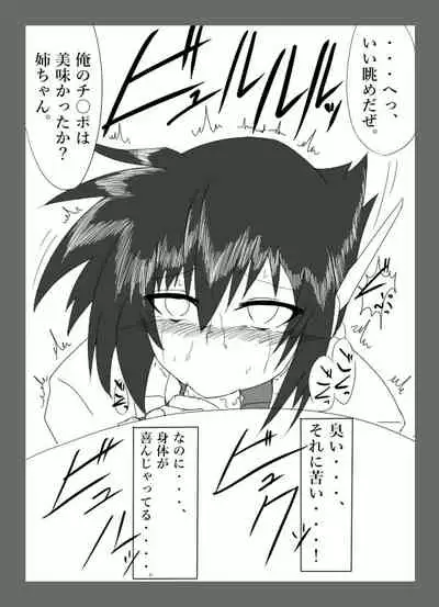 [TGxx3300] Cracked Aile (Mega Man ZX Advent)