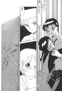 [Akifuji Satoshi] Four Seasons