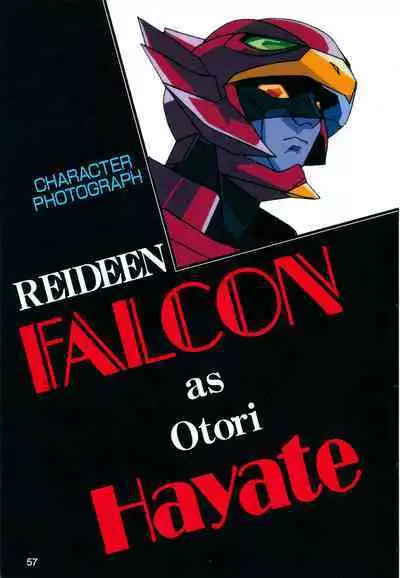 This is Animation Pocket- Chouja Reideen Character Book